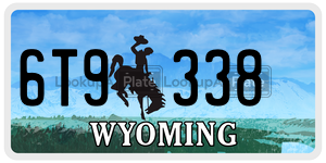 6T9338  license plate in WY