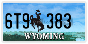 6T9383  license plate in WY