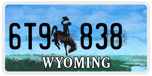 6T9838  license plate in WY
