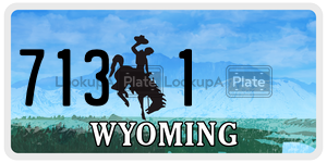 7131  license plate in WY