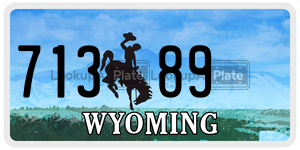 71389  license plate in WY