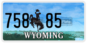 75885 license plate in Wyoming