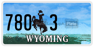 7803  license plate in WY