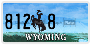 8128  license plate in WY