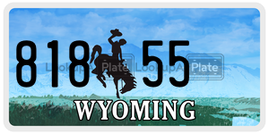 81855  license plate in WY