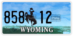85812 license plate in Wyoming