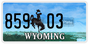 85903  license plate in WY