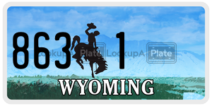 8631 license plate in Wyoming