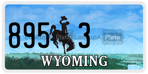 8953 license plate in Wyoming