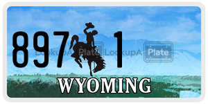 8971  license plate in WY
