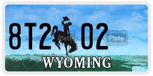 8T202  license plate in WY