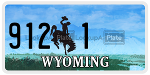 9121  license plate in WY