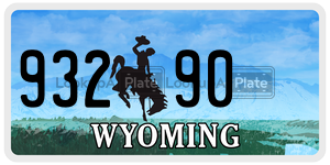 93290  license plate in WY