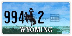 9942  license plate in WY