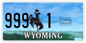 9991  license plate in WY