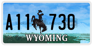 A11730  license plate in WY