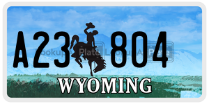 A23804  license plate in WY