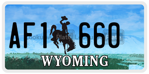 AF1660  license plate in WY