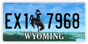 EX17968  license plate in WY