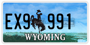 EX9991  license plate in WY