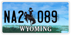 NA2089  license plate in WY